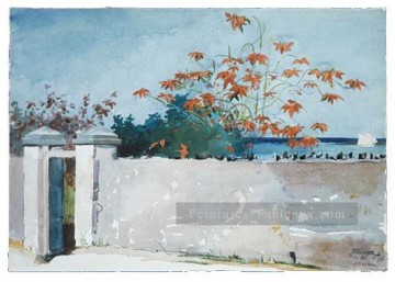 winslow - Un mur nassau Winslow Homer aquarelle
